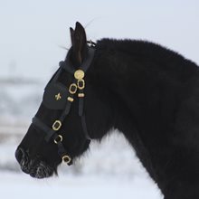 Оголовья с шорами